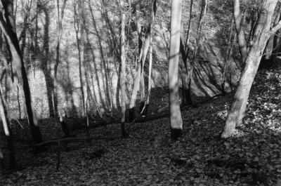 Grand River Ravines