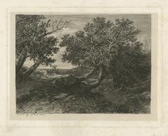 A. Calame